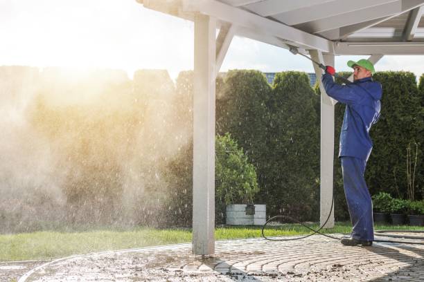 Best Soft Washing  in Pine Island Center, FL