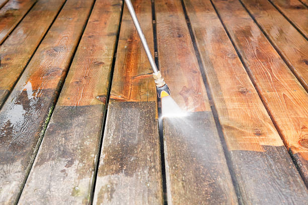 Best Driveway Pressure Washing  in Pine Island Center, FL